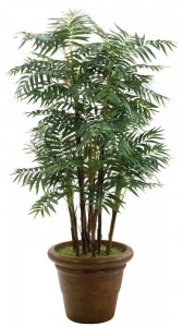 parlor palm This artificial parlor palm looks like the real thing!